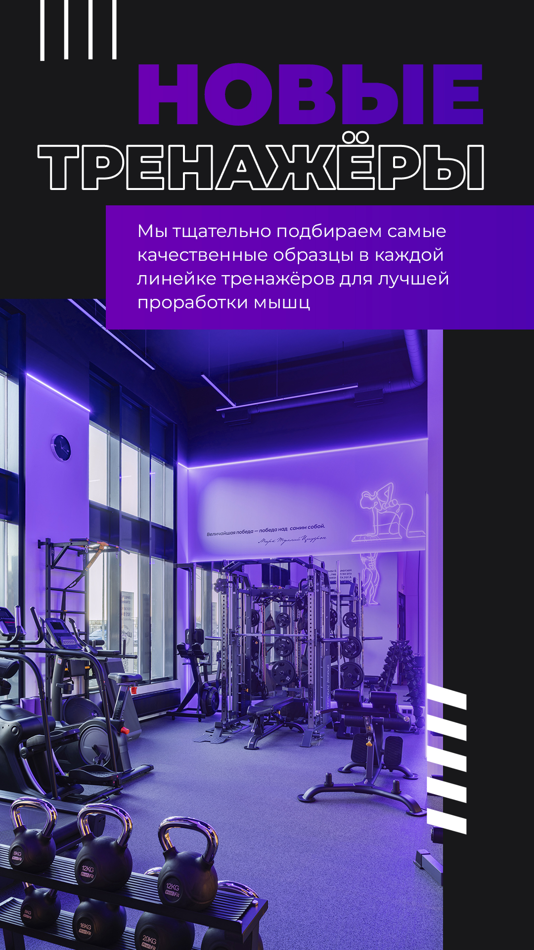 3. Новые тренажеры